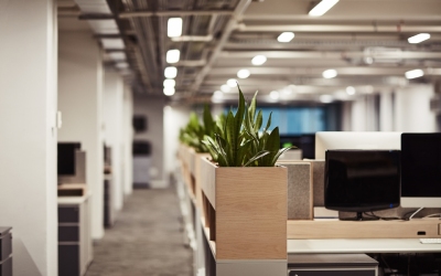 Agencement intérieur, rénovation de magasin près de Valenciennes